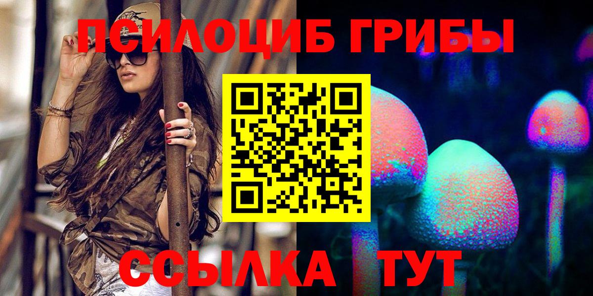 Псилоцибиновые грибы мицелий Новочеркасск