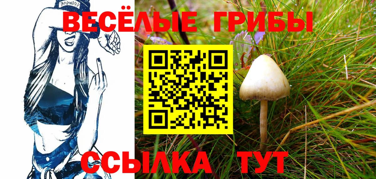 Псилоцибиновые грибы MAGIC MUSHROOMS  закладка  Новочеркасск  Вход с VPN 
